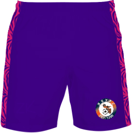 /media/3q4fnqli/bradley-stoke-youth-fc-purple-goalkeeper-shorts-1a.jpg