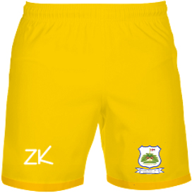 /media/g0ro3fkr/ruardean-hill-rangers-fc-yellow-goalkeeper-shorts-front.jpg