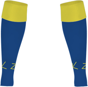 /media/qrslakbc/tenbury-united-youth-fc-footless-match-socks-1.jpg