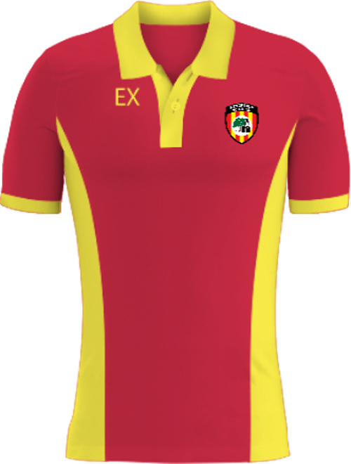 /media/tdcld4ta/lingfield-youth-fc-polo-shirt-1-1.jpg