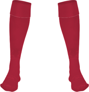 /media/tpynkdzj/lingfield-youth-fc-home-football-socks-front.jpg